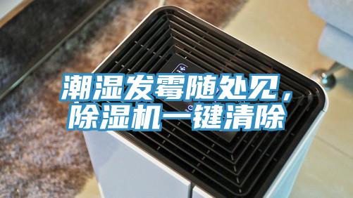 潮濕發(fā)霉隨處見，除濕機一鍵清除