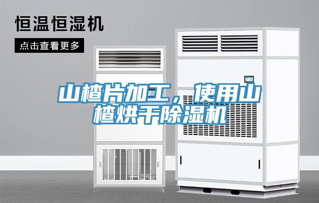 山楂片加工，使用山楂烘干除濕機(jī)