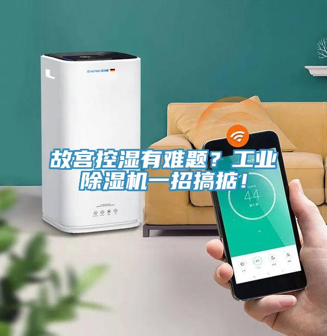 故宮控濕有難題？工業(yè)除濕機(jī)一招搞掂！