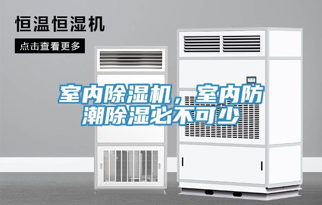 室內(nèi)除濕機，室內(nèi)防潮除濕必不可少