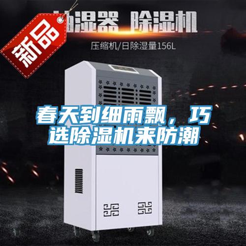 春天到細雨飄，巧選除濕機來防潮