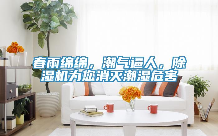 春雨綿綿，潮氣逼人，除濕機為您消滅潮濕危害