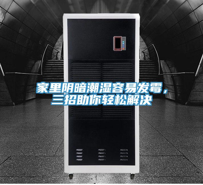 家里陰暗潮濕容易發(fā)霉，三招助你輕松解決