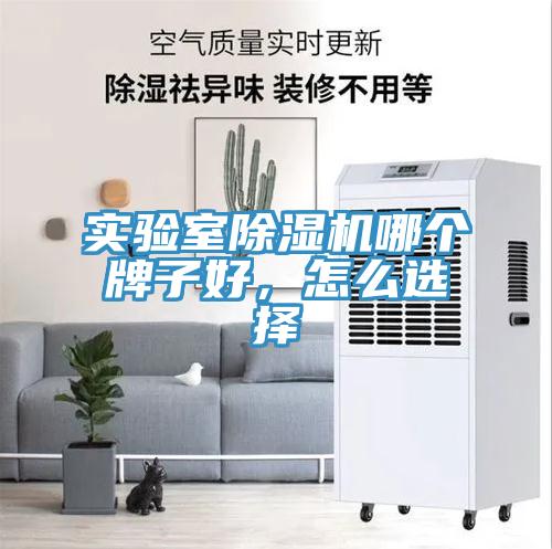 實(shí)驗(yàn)室除濕機(jī)哪個(gè)牌子好，怎么選擇