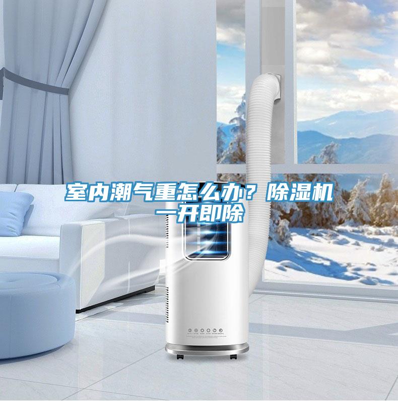 室內(nèi)潮氣重怎么辦？除濕機(jī)一開即除