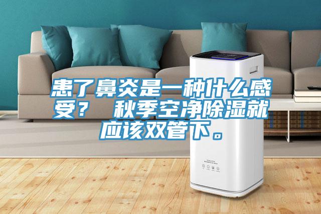 患了鼻炎是一種什么感受？ 秋季空凈除濕就應該雙管下。