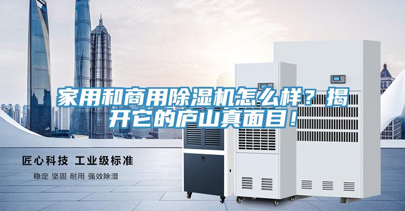 家用和商用除濕機(jī)怎么樣？揭開(kāi)它的廬山真面目！