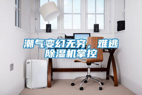 潮氣變幻無窮，難逃除濕機掌控