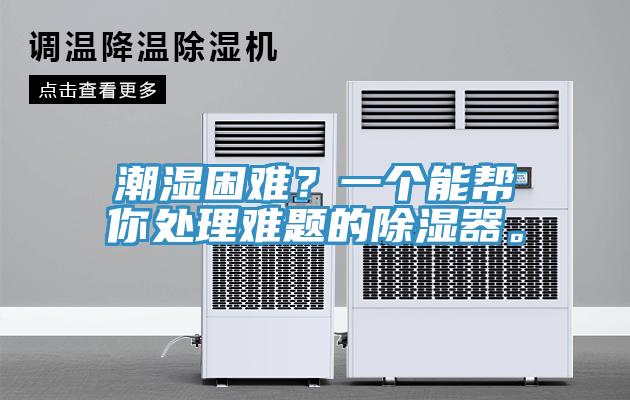 潮濕困難？一個(gè)能幫你處理難題的除濕器。