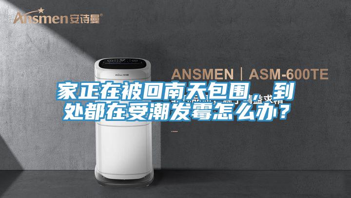 家正在被回南天包圍，到處都在受潮發(fā)霉怎么辦？
