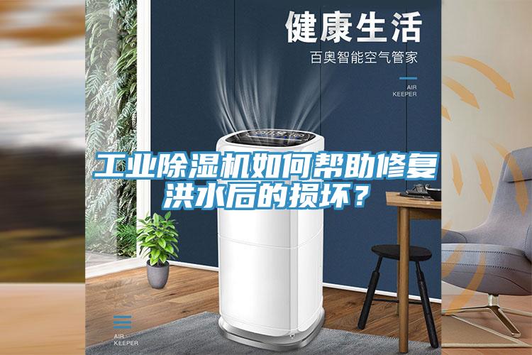 工業(yè)除濕機如何幫助修復洪水后的損壞？