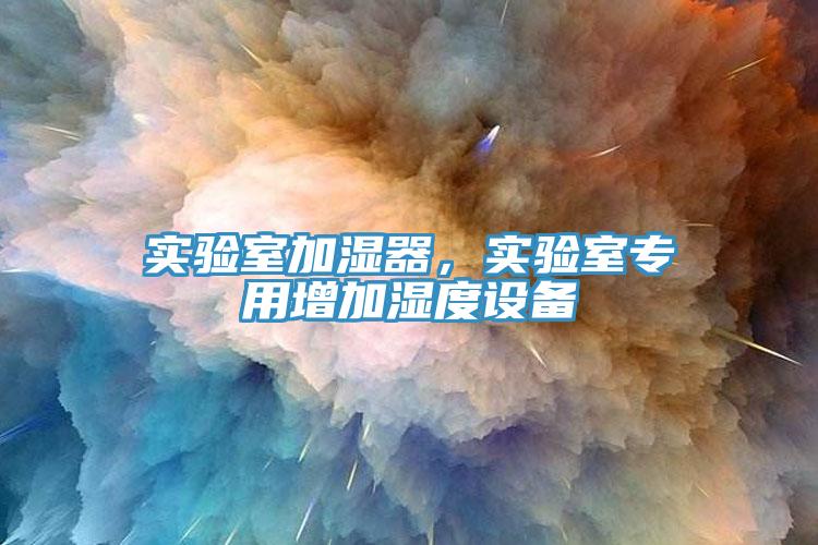 實(shí)驗(yàn)室加濕器，實(shí)驗(yàn)室專用增加濕度設(shè)備