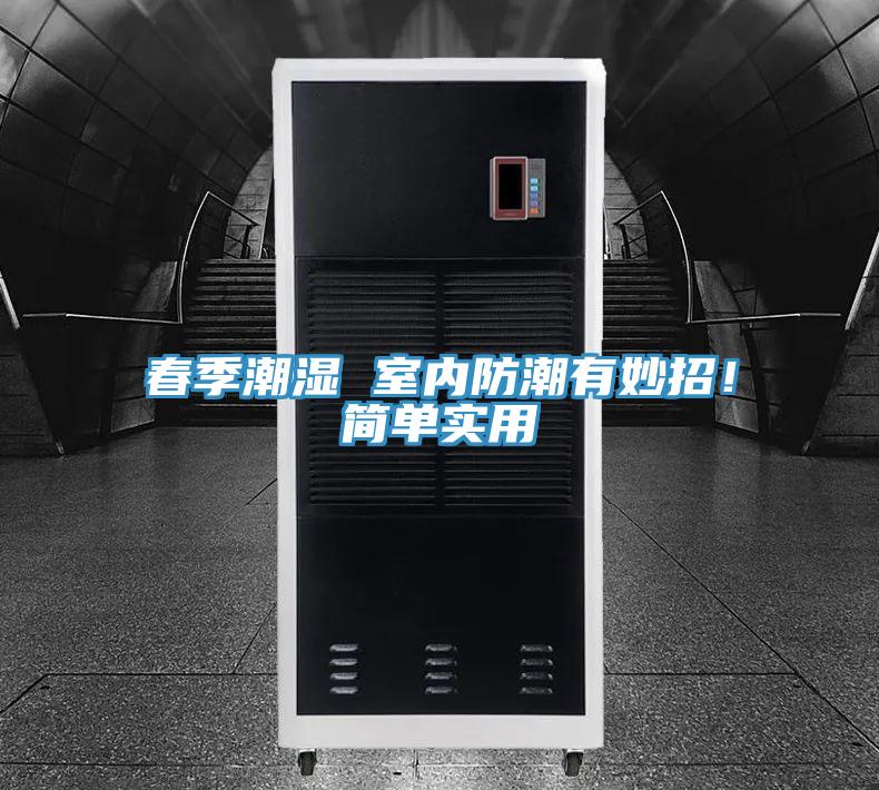 春季潮濕 室內(nèi)防潮有妙招！簡單實(shí)用