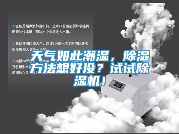 天氣如此潮濕，除濕方法想好沒？試試除濕機！