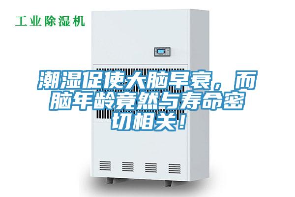 潮濕促使大腦早衰，而腦年齡竟然與壽命密切相關(guān)！