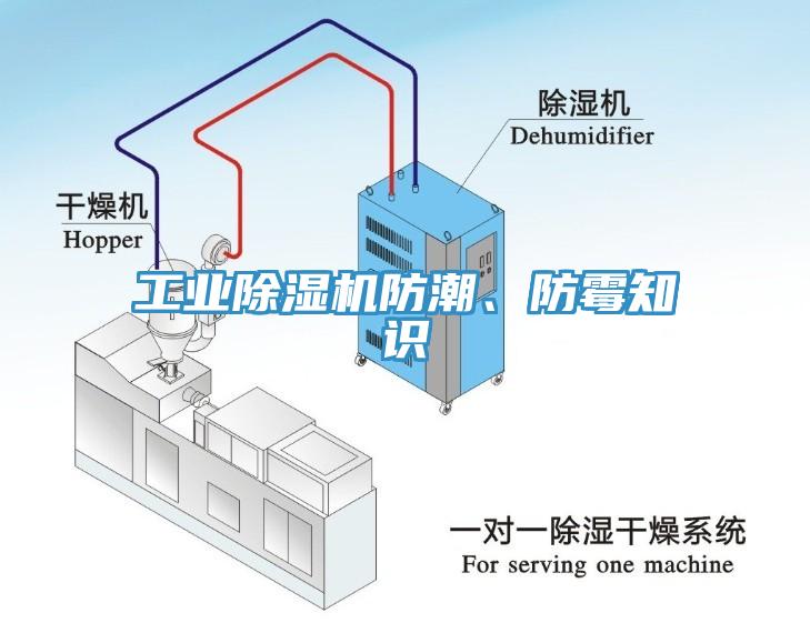 工業(yè)除濕機防潮、防霉知識