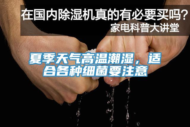 夏季天氣高溫潮濕，適合各種細菌要注意