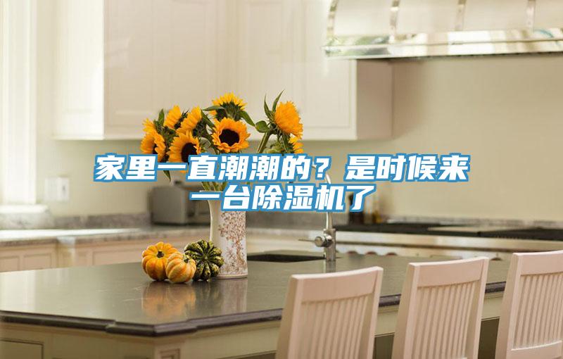 家里一直潮潮的？是時候來一臺除濕機了