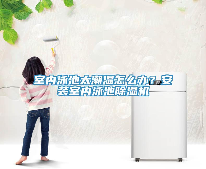 室內(nèi)泳池太潮濕怎么辦？安裝室內(nèi)泳池除濕機