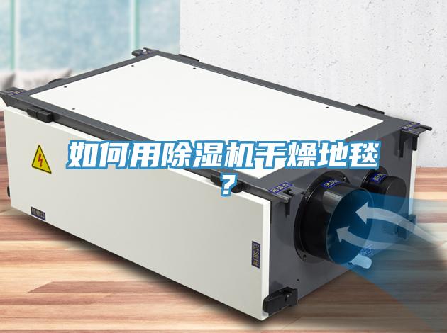 如何用除濕機(jī)干燥地毯？