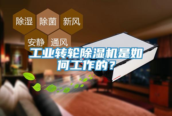 工業(yè)轉(zhuǎn)輪除濕機(jī)是如何工作的？