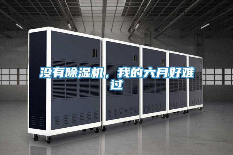 沒有除濕機(jī)，我的六月好難過