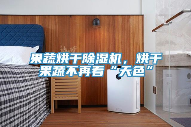 果蔬烘干除濕機，烘干果蔬不再看“天色”