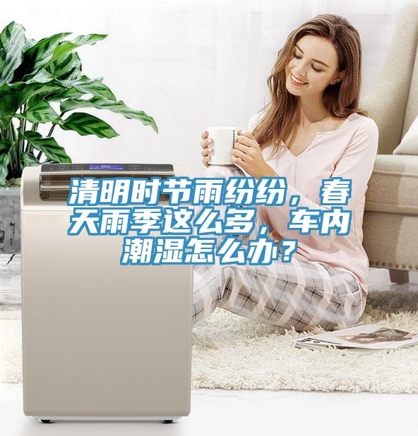 清明時(shí)節(jié)雨紛紛，春天雨季這么多，車內(nèi)潮濕怎么辦？