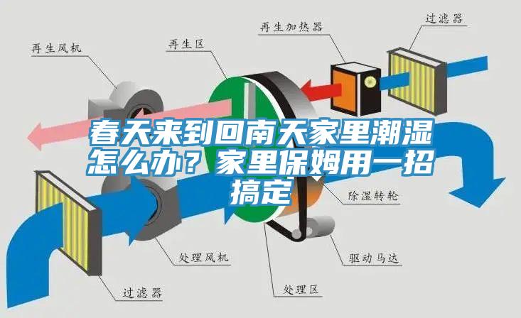 春天來到回南天家里潮濕怎么辦？家里保姆用一招搞定