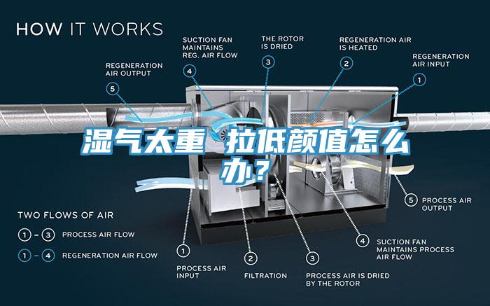 濕氣太重 拉低顏值怎么辦？
