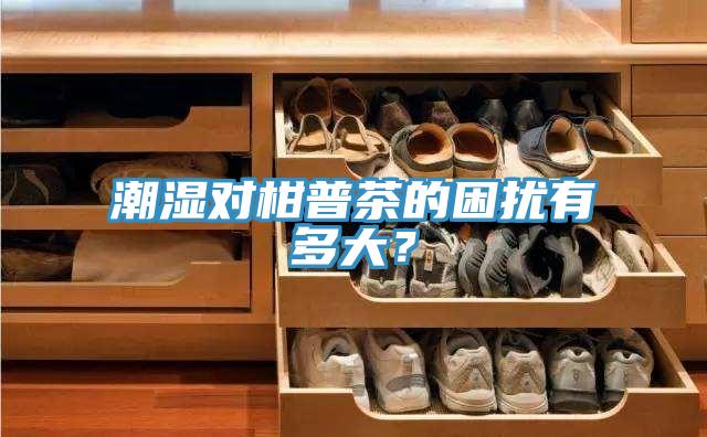 潮濕對(duì)柑普茶的困擾有多大？