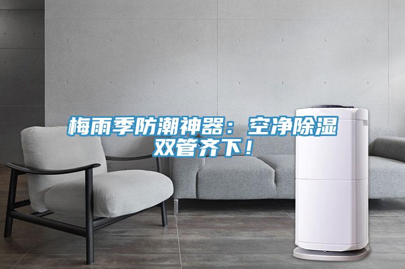 梅雨季防潮神器：空凈除濕雙管齊下！