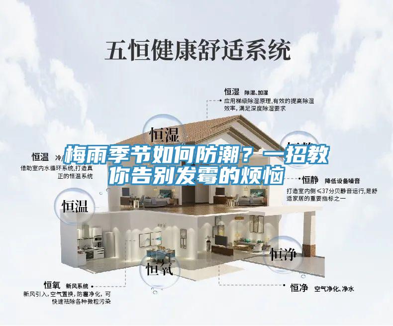 梅雨季節(jié)如何防潮？一招教你告別發(fā)霉的煩惱