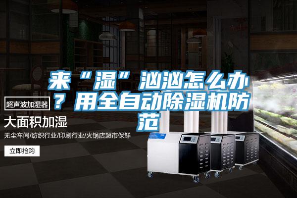 來“濕”洶洶怎么辦？用全自動(dòng)除濕機(jī)防范