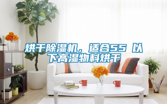 烘干除濕機(jī)，適合55℃以下高濕物料烘干
