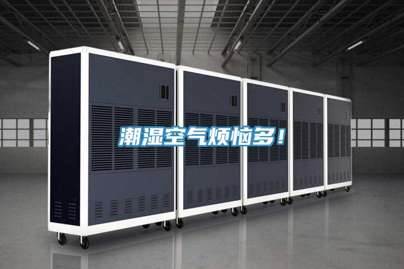 潮濕空氣煩惱多！