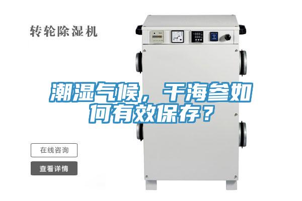 潮濕氣候，干海參如何有效保存？