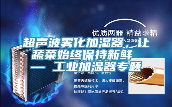 超聲波霧化加濕器，讓蔬菜始終保持新鮮 — 工業(yè)加濕器專(zhuān)題