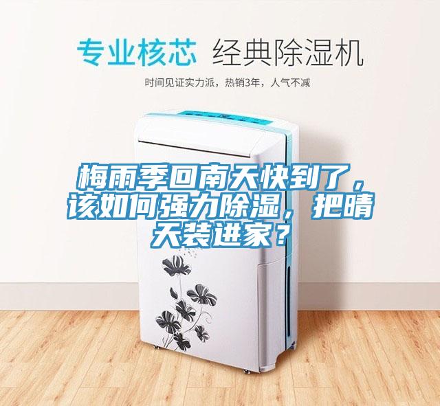 梅雨季回南天快到了，該如何強力除濕，把晴天裝進家？