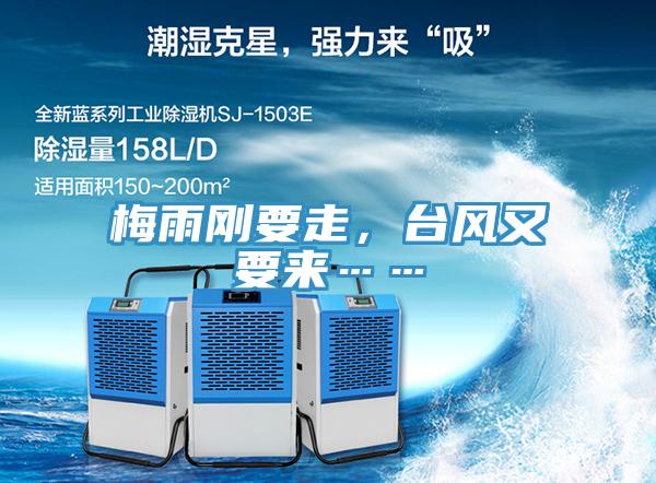 梅雨剛要走，臺風(fēng)又要來……