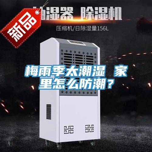 梅雨季太潮濕 家里怎么防潮？