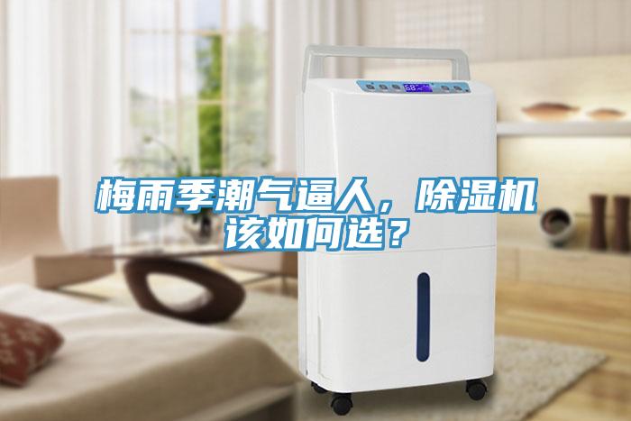 梅雨季潮氣逼人，除濕機該如何選？