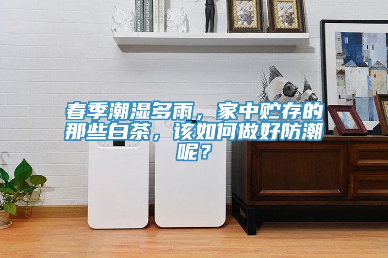 春季潮濕多雨，家中貯存的那些白茶，該如何做好防潮呢？