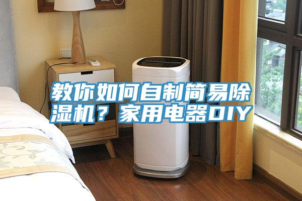 教你如何自制簡易除濕機？家用電器DIY