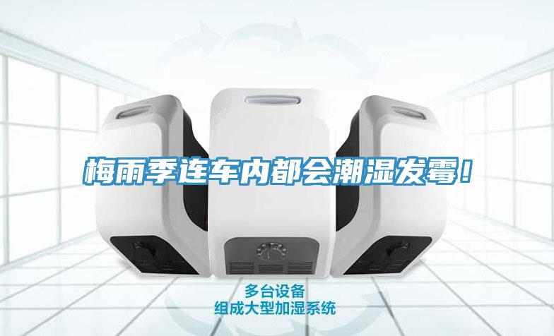 梅雨季連車內(nèi)都會(huì)潮濕發(fā)霉！