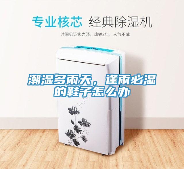 潮濕多雨天，逢雨必濕的鞋子怎么辦
