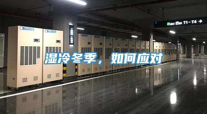 濕冷冬季，如何應(yīng)對