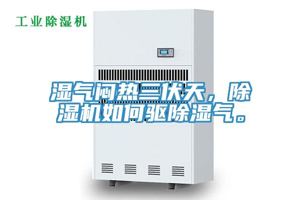 濕氣悶熱三伏天，除濕機如何驅(qū)除濕氣。