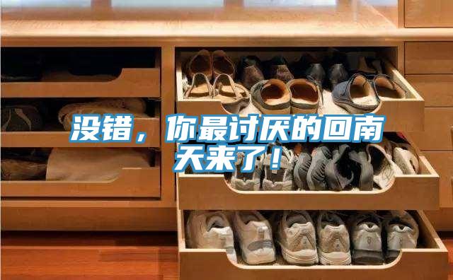 沒錯，你最討厭的回南天來了！