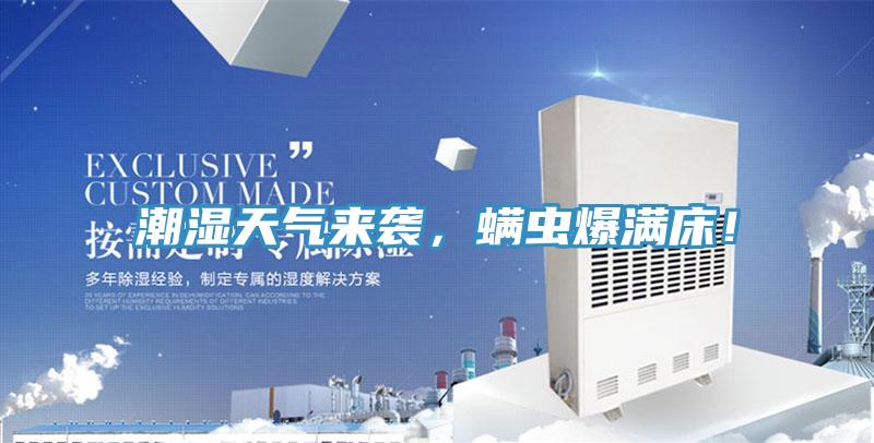 潮濕天氣來襲，螨蟲爆滿床！